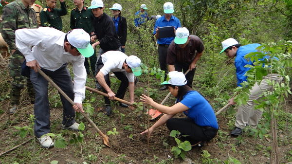 Hưởng ứng tết trồng cây 2013 và ngày môi trường thế giới 05/6